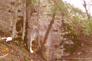 align=